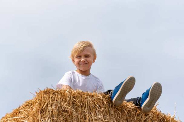 carino scolaro ragazzo è seduto su pagliaio in campo su cielo sfondo. Raccolta. Giornata estiva in paese - Foto, immagini