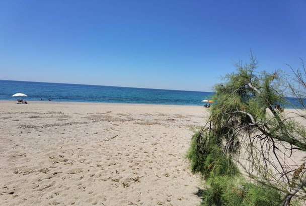 plage arbres soleil tamaris dans preveza monolithi plage Grèce en vacances d'été - Photo, image