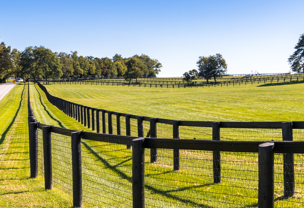 Double fence at horse farm. - Photo, Image