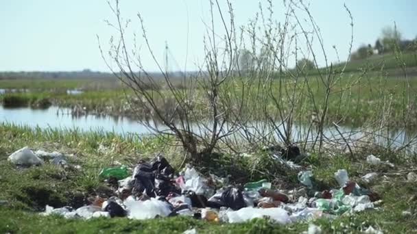 Ukraine spring 2020. Environmental pollution by garbage. Garbage on the nature in the forest in the fog. ecological disaster in the park - Séquence, vidéo