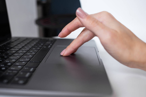Woman typing on laptop keyboard, office worker - Fotografie, Obrázek