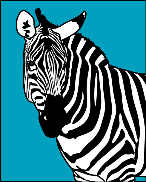 Vettore animale zebra
 - Vettoriali, immagini