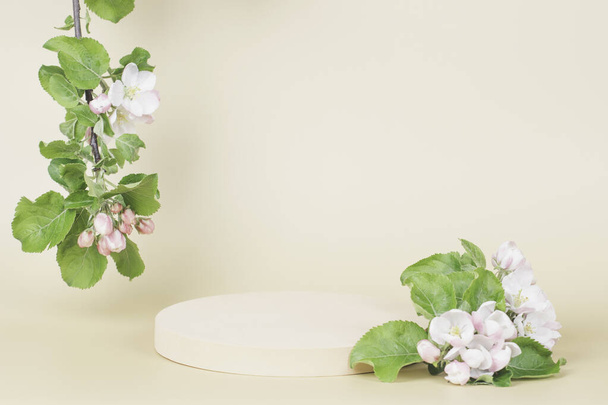 Στρογγυλή γεωμετρική πλατφόρμα βάθρου για παρουσίαση καλλυντικών προϊόντων και ανοιξιάτικο ανθισμένο κλαδί δέντρου με λευκά λουλούδια σε παστέλ μπεζ φόντο. Πρόσθια όψη - Φωτογραφία, εικόνα
