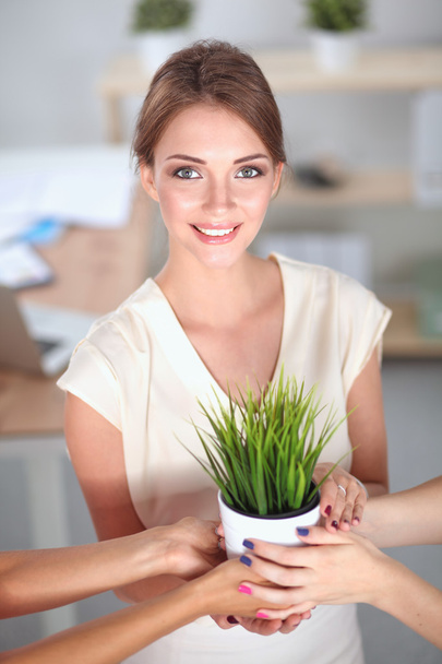Beautiful woman holding pot with a plant, standing at home - Foto, immagini