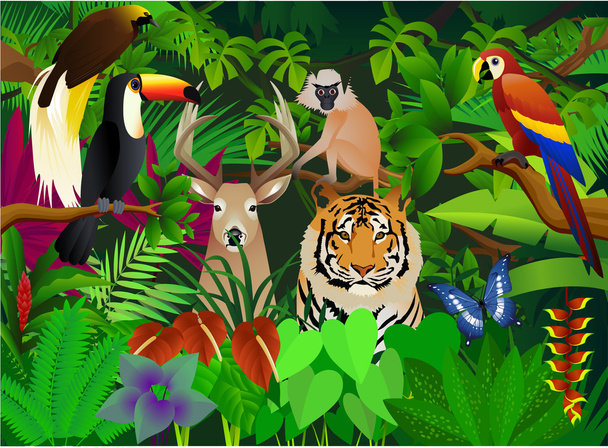 Дикое животное в джунглях - Вектор,изображение