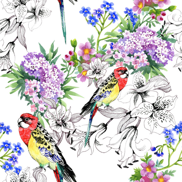 Colorful parrots and flowers - 写真・画像