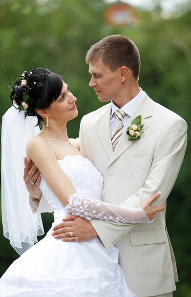 menyasszony és a vőlegény - Fotó, kép