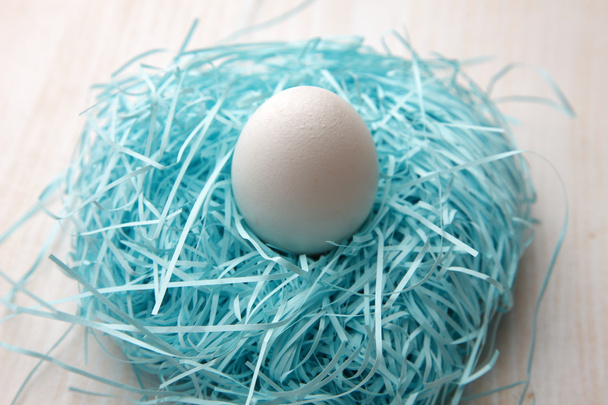 Egg in the nest - Foto, afbeelding