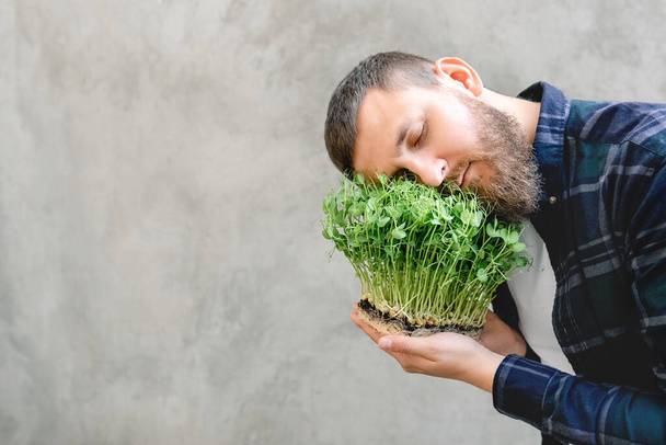 Ein Mann mit Bart hält in seinen Händen Erbsengemüse auf Betonmauern. Kerl im Hemd legte seinen Kopf auf weiches grünes Gras. Saatgut zu Hause keimen oder Gemüse für gesunde Ernährung kaufen. - Foto, Bild