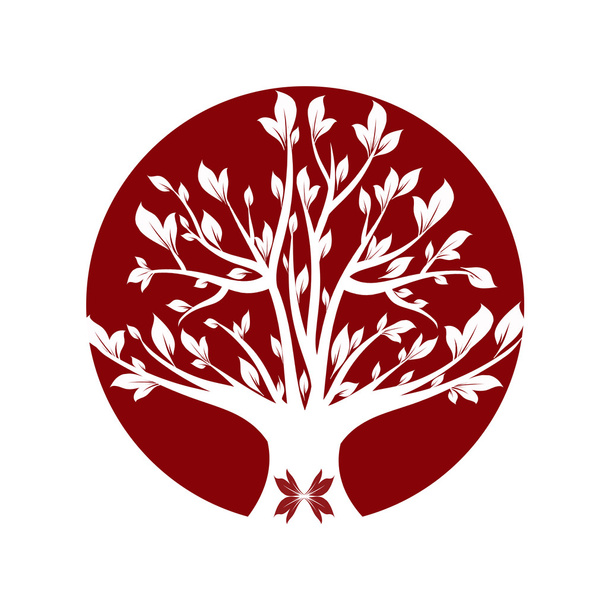 Червоне дерево
 - Фото, зображення