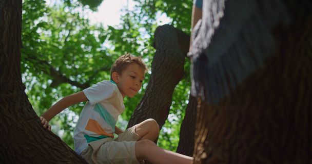 Árvore de escalada do menino ativo no parque perto. Criança corajosa sentada em alto ramo. - Foto, Imagem