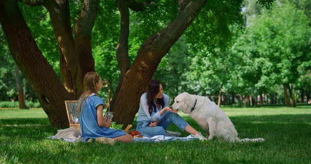 Cheerful mother feeding labrador on picnic. Mom sitting with daughter on blanket - Photo, Image