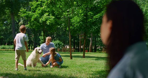 Nainen katsomassa perheen leikkiä koira puistossa hämärtynyt näkymä. Aktiivisen elämän käsite. - Valokuva, kuva