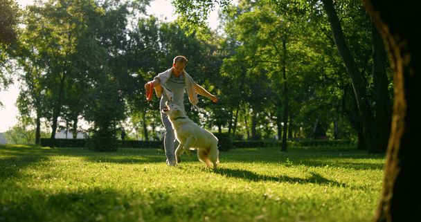 Hombre atractivo burlándose de golden retriever en el parque. Amigos jugando en el paseo diario  - Foto, imagen