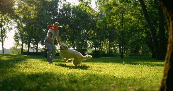 公園で引出し玩具を投げる魅力的な男。精力的な犬の実行キャッチリング. - 写真・画像