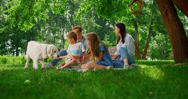 Happy family feed white dog on weekend picnic. People rest with pet in park. - 写真・画像