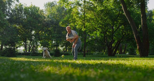 Ελκυστικός ιδιοκτήτης ρίχνει μπάλα στο πάρκο. Ενεργητικό παιχνίδι σύλληψης σκυλιών με το στόμα. - Φωτογραφία, εικόνα