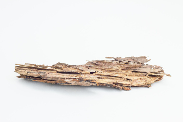 pedazo de caja de madera dañada comido por termitas en Tailandia, aislar
 - Foto, imagen