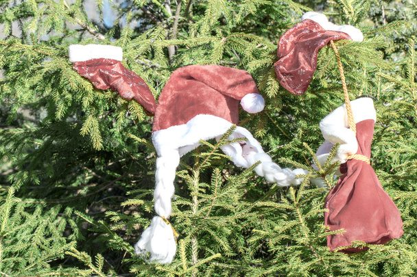 Одежда Санта-Клауса
 - Фото, изображение