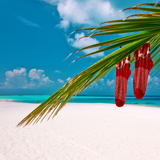 Beach with palm tree at Christmas - Photo, Image
