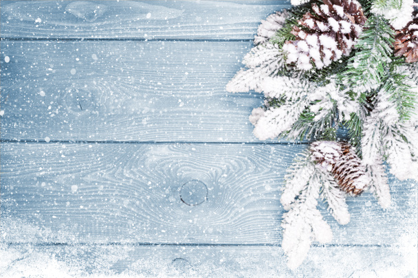 Old wood texture with snow and firtree - Photo, Image