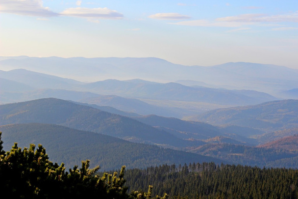 Вид из Бабии Гора, Бескиды, Польша
 - Фото, изображение