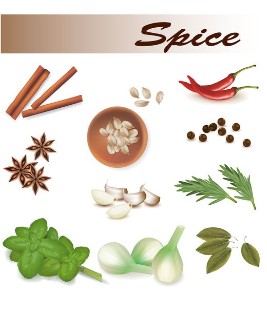 Group of spices. Vector. - Vektor, Bild
