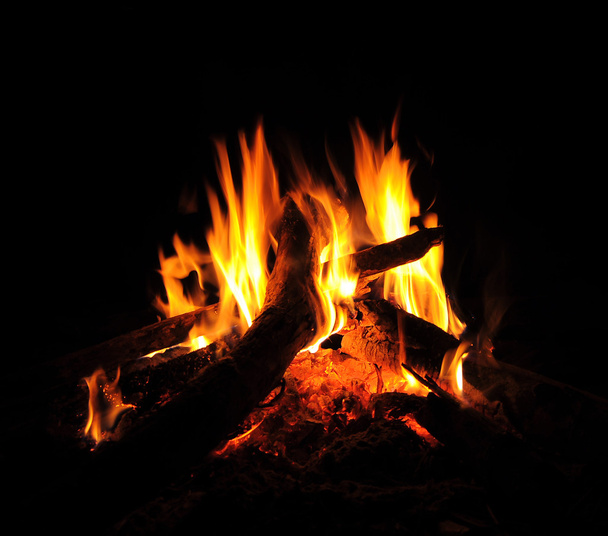 Flames of a campfire in the night - Valokuva, kuva