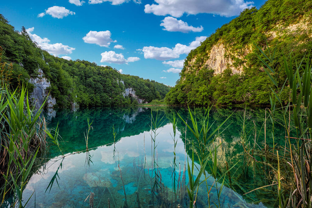 Plitvice, Croácia - Refletindo o Parque Nacional dos Lagos de Plitvice em um dia brilhante de verão com água cristalina azul-turquesa, céu azul e nuvens e folhagem verde de verão - Foto, Imagem