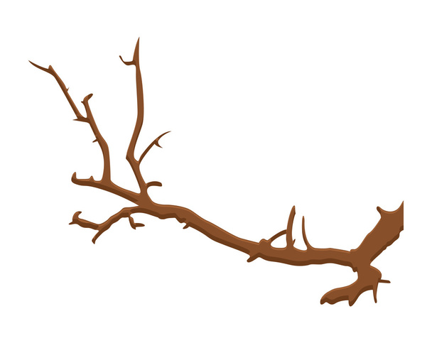 κλαδί δέντρου ξηρού - Διάνυσμα, εικόνα