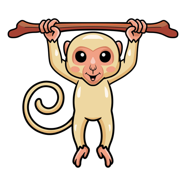 Vektor illusztráció aranyos kis albínó majom rajzfilm lóg faágon - Vektor, kép