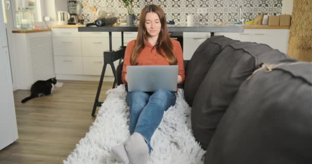 nainen makaa sohvalla kannettavalla tietokoneella ja työskentelee olohuoneessa keittiötä vastapäätä. Etunäkymä, kissan taustaa vasten. Työ kotoa konsepti, naisten freelancer, etätyö, online - Materiaali, video