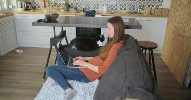 Vrouw werkt thuis op een laptop, zittend op de bank met een kat. Thuis studeren, thuiskantoor, concept. - Foto, afbeelding