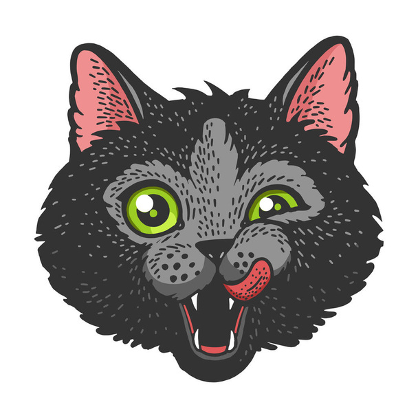 Cat head face color sketch raster illustration - Foto, afbeelding