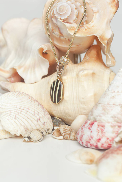 Necklase product shot. Gold necklace with round pendant on marine shell background. Jewelry fashion photography. - 写真・画像