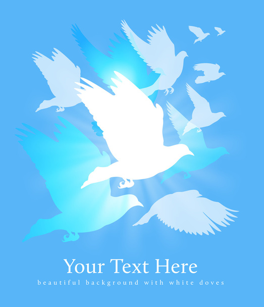 Фон белых голубей
 - Вектор,изображение