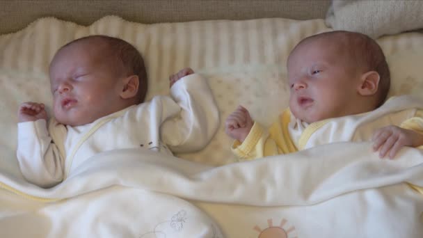 Dois recém-nascidos, gémeos a dormir num cobertor na cama em casa. Sonhando - Filmagem, Vídeo