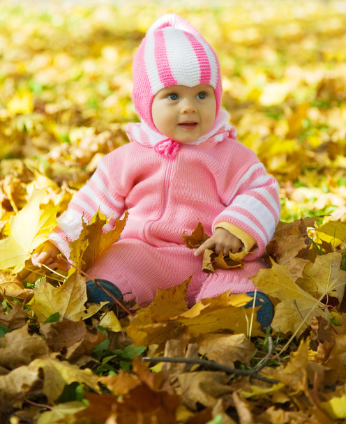 Baby sits in an autumn park - 写真・画像