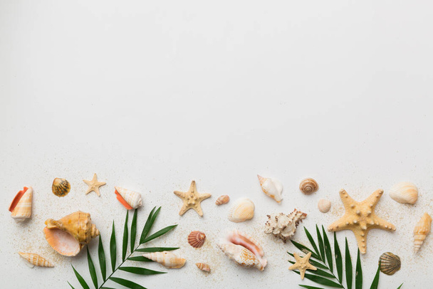 Summer time concept Flat lay composition with beautiful starfish and sea shells on colored table, top view with copy space for text. - Foto, immagini