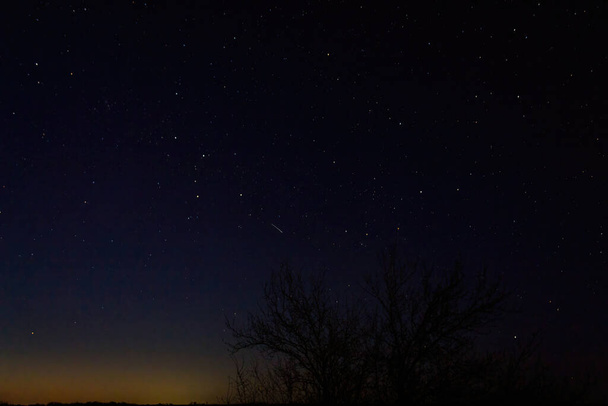 Cielo stellato. Panorama blu notte cielo lattiginoso via e stella su sfondo scuro. - Foto, immagini