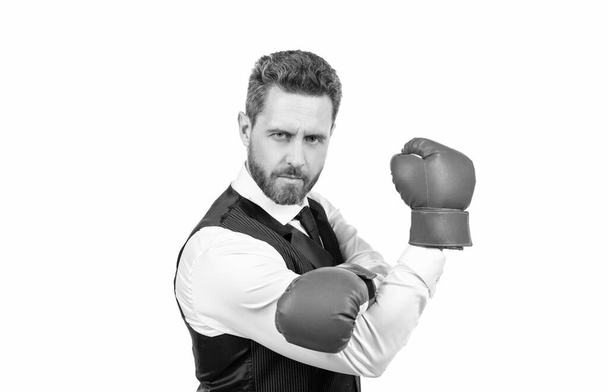 silný podnikatel v boxerských rukavicích izolovaných na bílém pozadí, úspěch - Fotografie, Obrázek