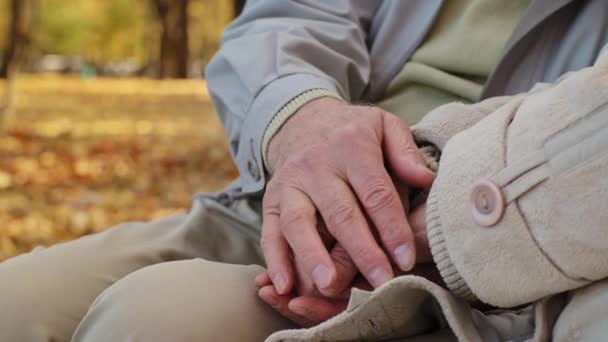Zblízka vrásčité ruce starší pár starší důchodce muž manžel hladí ženu na dlani trávit čas spolu v podzimním parku show láska podpora středního věku partneři důvěřovat jeden druhému manželství vztah - Záběry, video