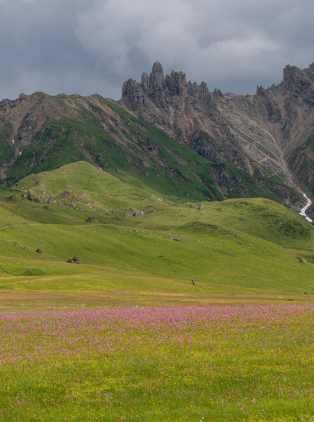 Chaty na loukách v Dolomitských horách u Seiser Alm - Fotografie, Obrázek