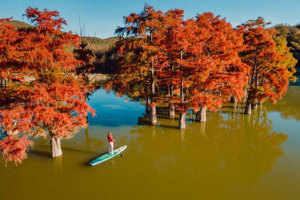 Aerial view with woman on SUP board at the lake with orange trees in water - Photo, Image