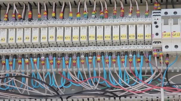 Cabinet with wire and cables connecting circuit breakers closeup - Footage, Video