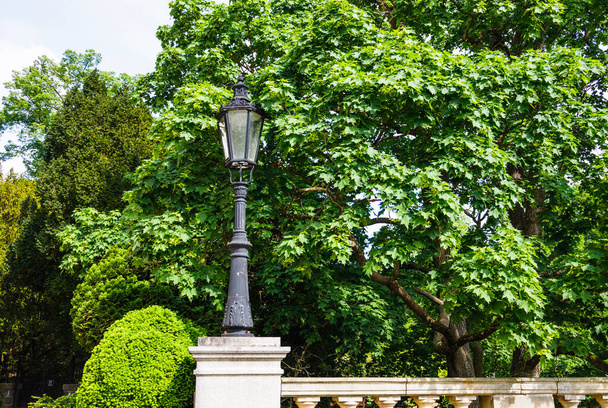 Стара мода старовинна вулична лампа на фоні зеленого листя плюща
 - Фото, зображення