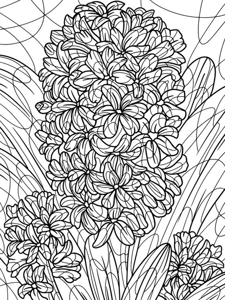 Coloring book flowers, hyacinthus. Black stroke, white background. - Φωτογραφία, εικόνα