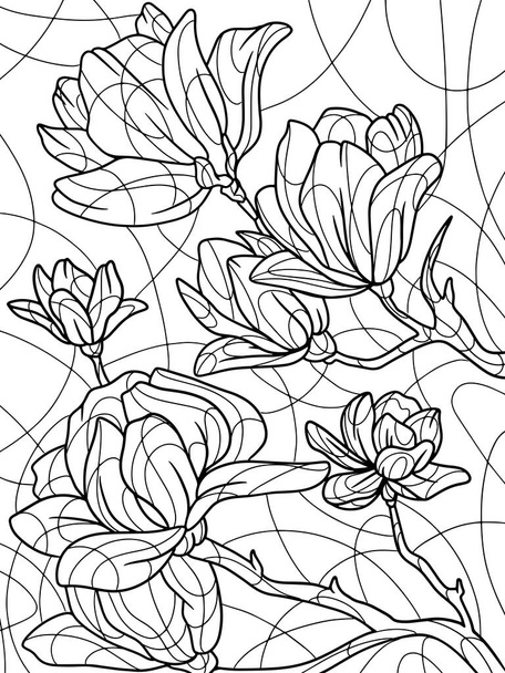 Coloring book flowers, magnolia. Black stroke, white background. - Fotoğraf, Görsel