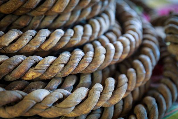 buff corde en cuir pour capturer les éléphants sauvages - Photo, image