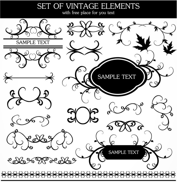 Calligraphic vintage set - Vector, Imagen